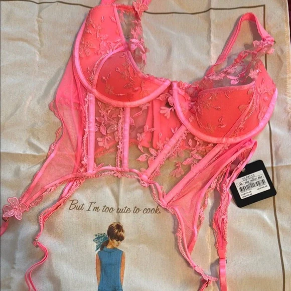 NWT Honey Birdette SABRINA Candy Pink Lace Bustier 36F - Picture 1 of 5